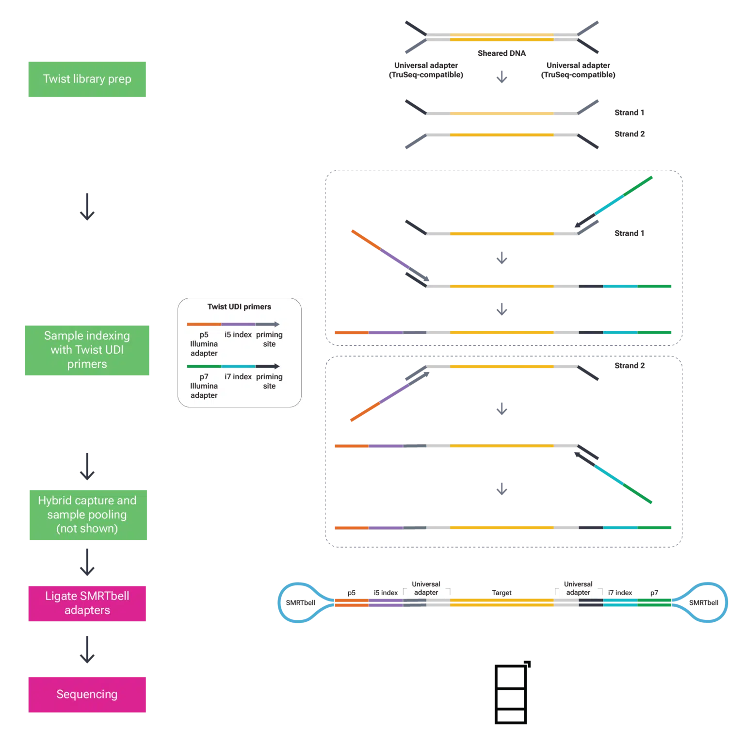 decrease-your-cost-per-sample-with-multiplexing-pacbio