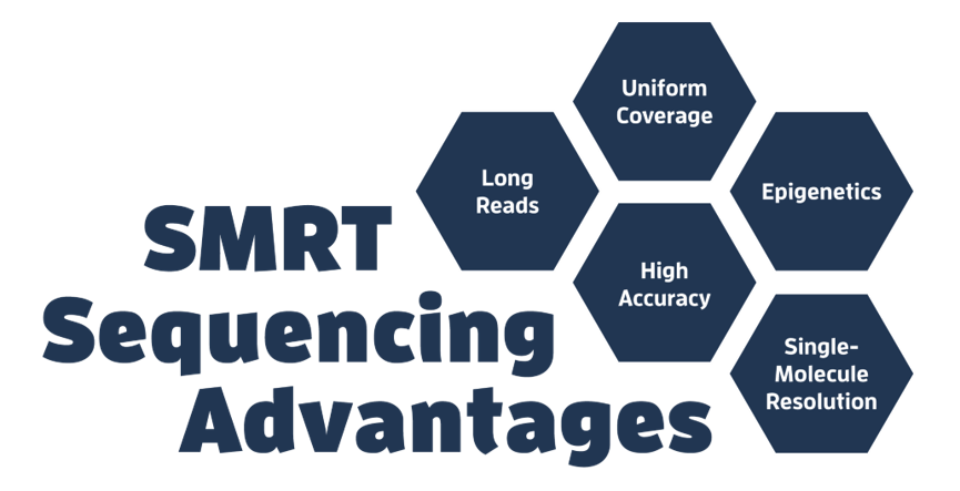 SMRT Sequencing - PacBio - Highly Accurate Long-read Sequencing