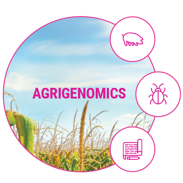 Agrigenomics blog series image showing icon for breeding, pests and biology
