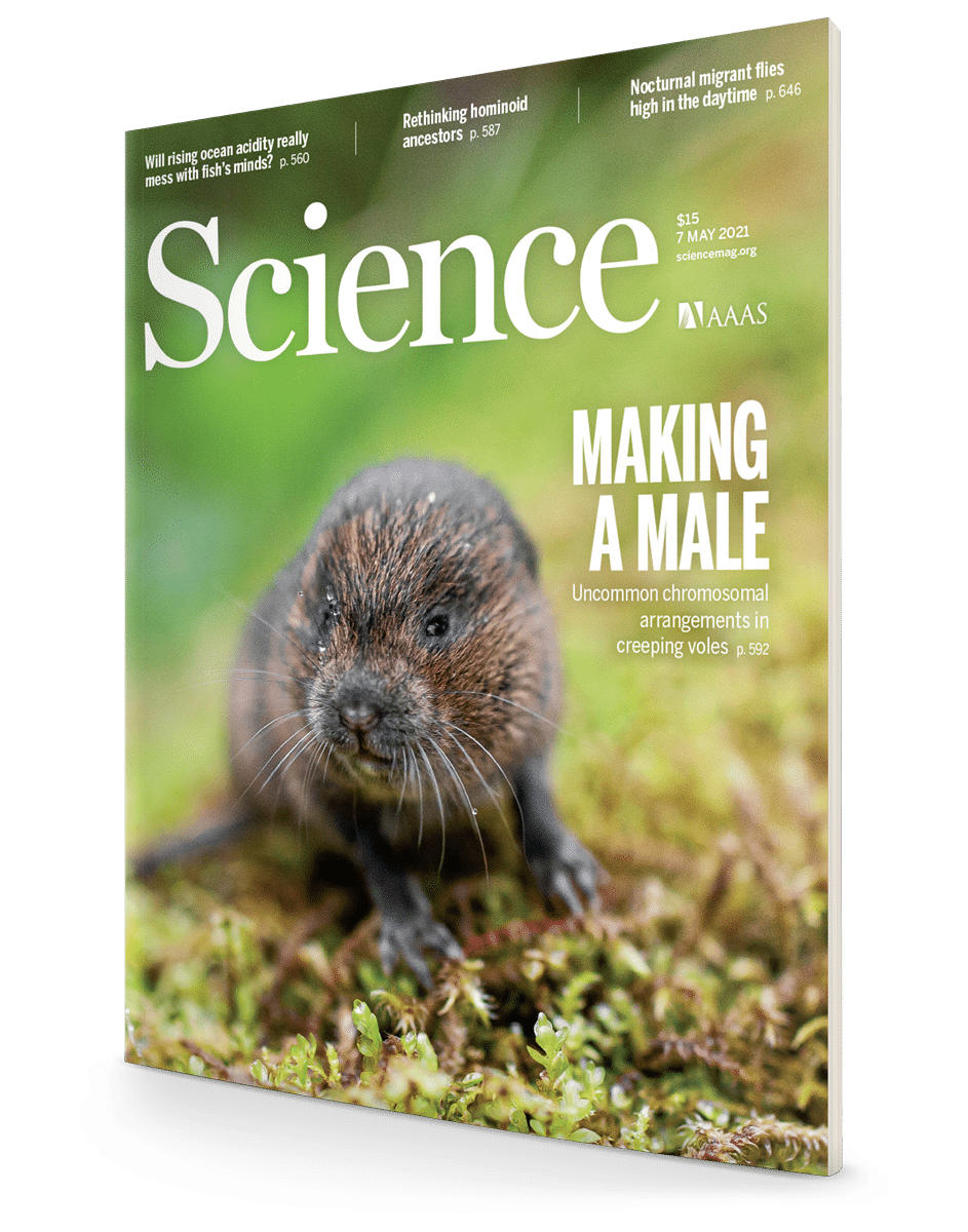 May 2021 cover of Science magazine - Making a male