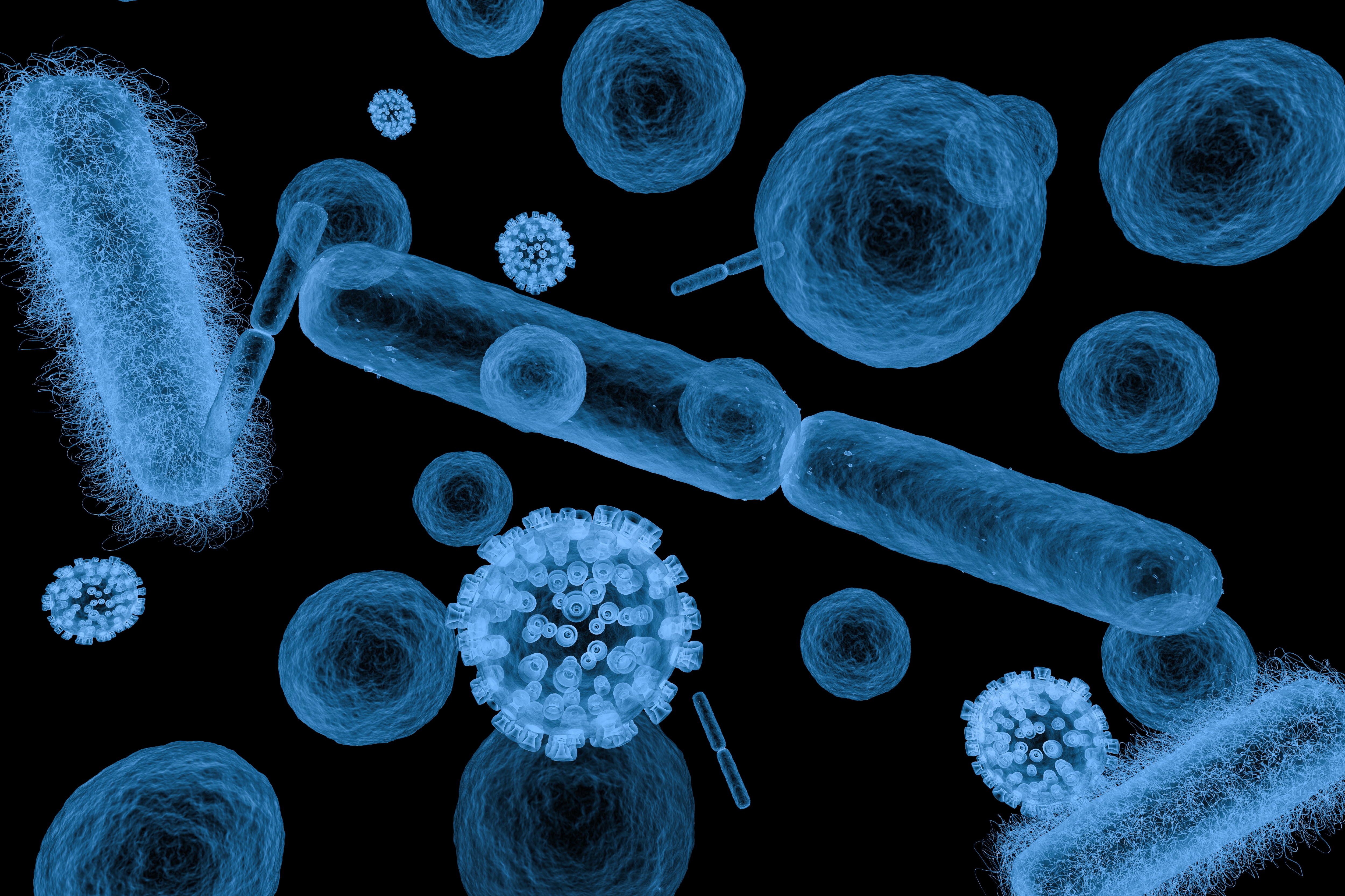 microbial community image